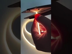 穂軸の滑走路端燈