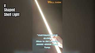 V 形のシェルフライト